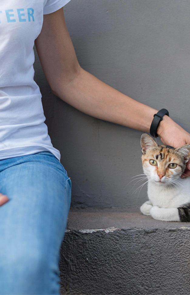 Ciotola con cibo Hill's