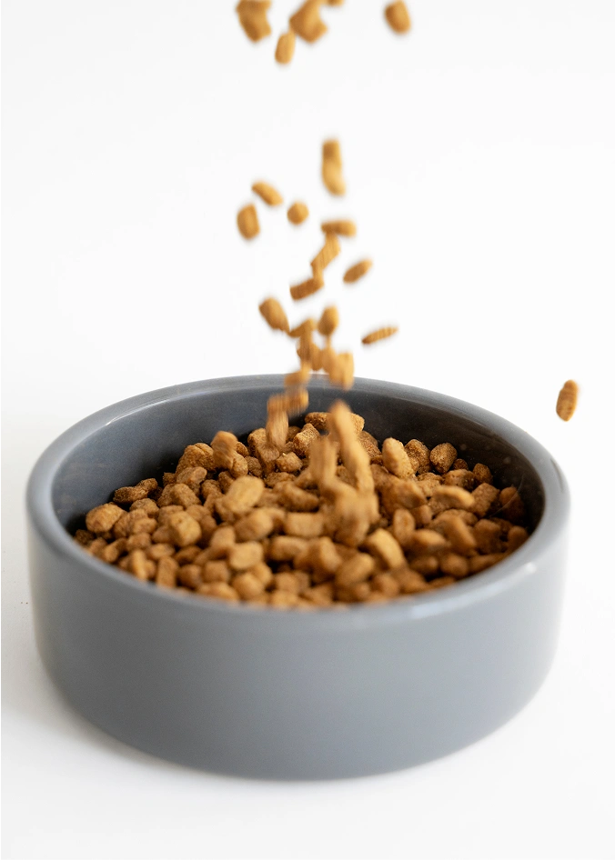 Ciotola con cibo Hill's