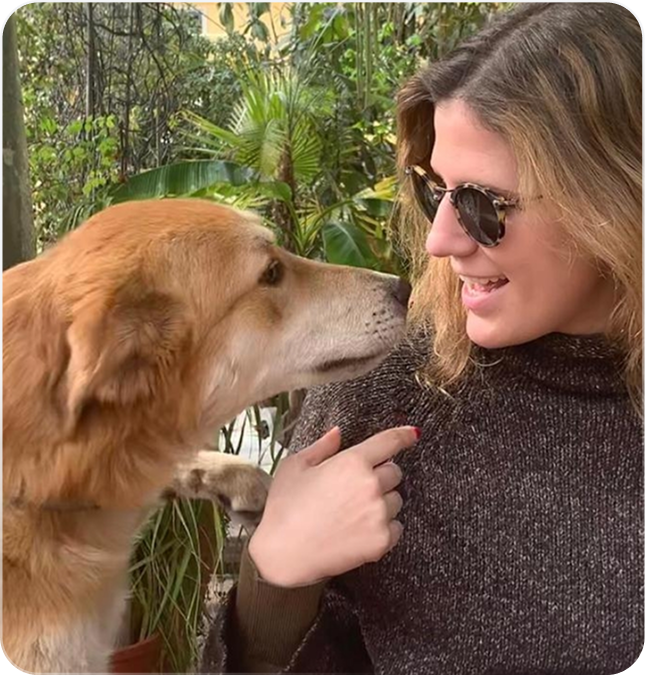 Pet image