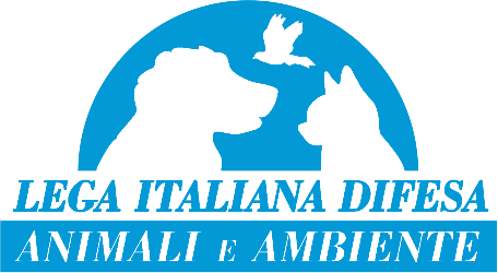 Partner logo 14