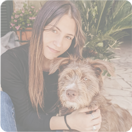 Pet image